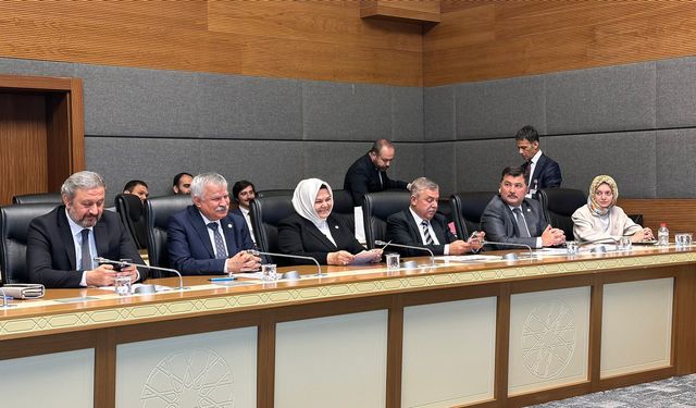 Ayşen Gürcan komisyon başkanı oldu
