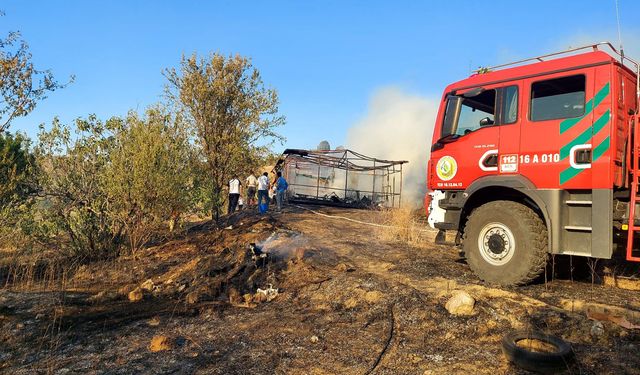 Bilecik’te yine orman yangını