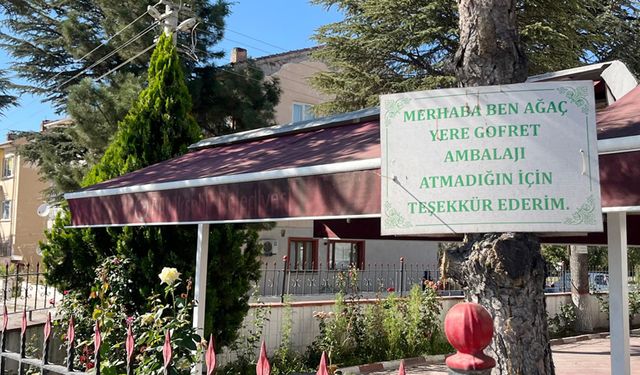 Eskişehir'de ağaçların insanlara mesajı var