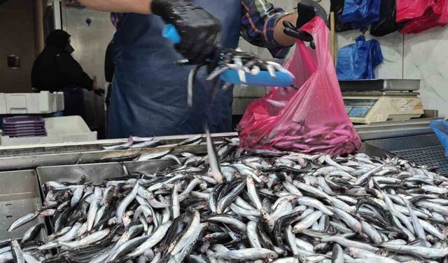 Yaz sıcakları palamudu vurdu, yerini...