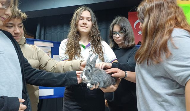 ‘Dünya Hayvanları Koruma Günü farklı etkinliklerle kutlandı