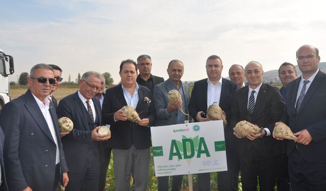 İnönü’de Yerli Pancar Tanıtıldı