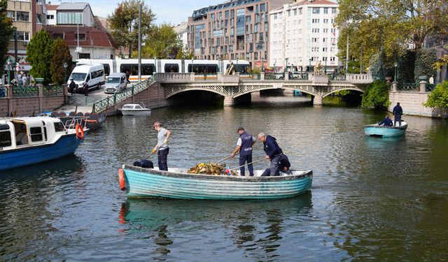 Ekosistemi korumak için kimyasal değil, doğal mücadele