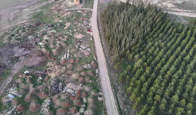 Eskişehir'de tezat görüntü: Bir yanda yeşil ağaçlar, bir yanda çöp yığınları
