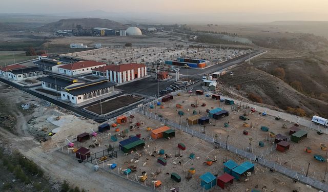 Doğal yaşam alanının  2. etabı tamamladı