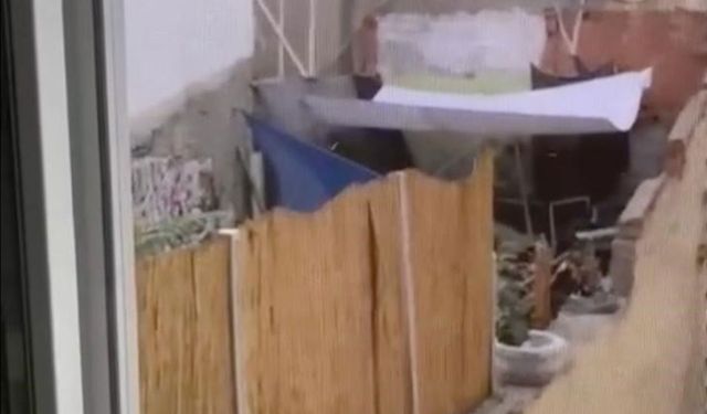 Eskişehir'de köpeğe eziyet eden şahıs yakalandı