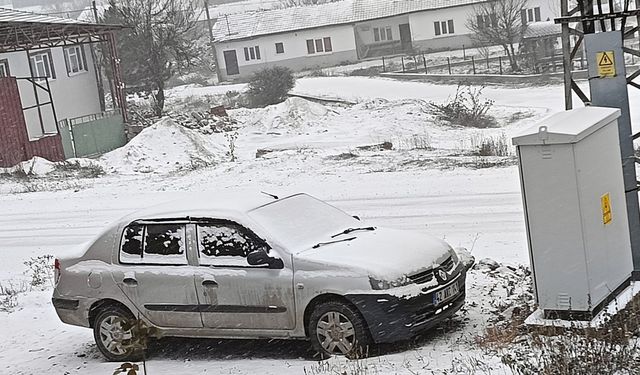 Eskişehir'in kırsalı beyaza büründü