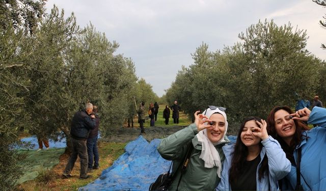 Gençler zeytinin yolculuğuna tanıklık etti