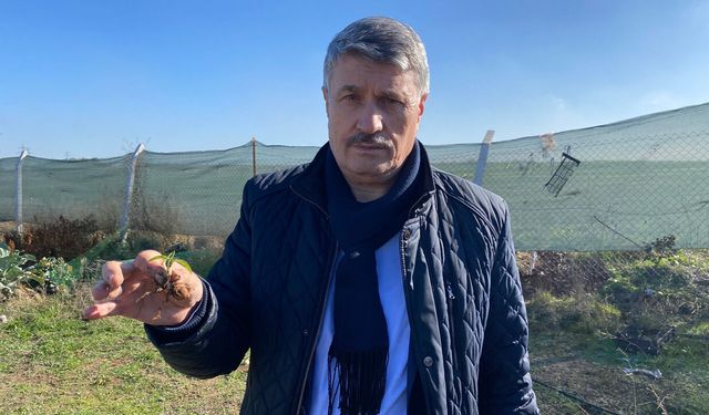 Salep Eskişehir'de yeniden hayat buluyor