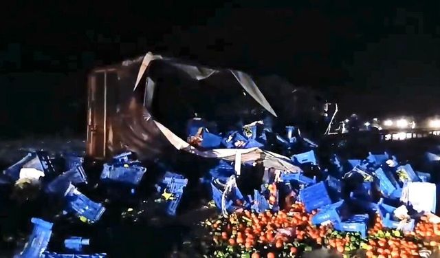 Kütahya-Eskişehir karayolunda meyve yüklü tır devrildi