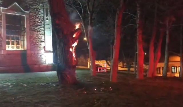 Vandallar tarihi ağacı yaktı!