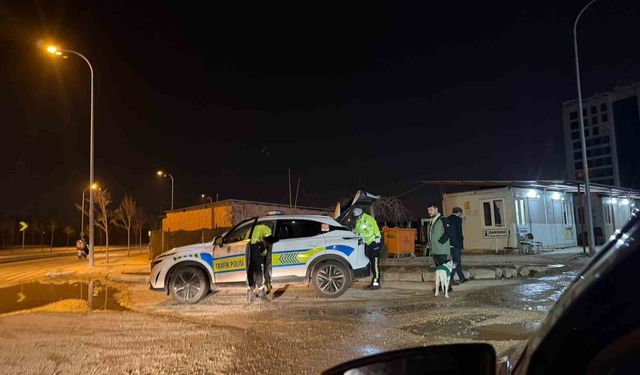 Alkollü yakalanan sürücü, karakola köpeğiyle gitti