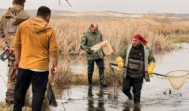 Balıkdamı’nda Doğa Temelli Çözüm Seferberliği