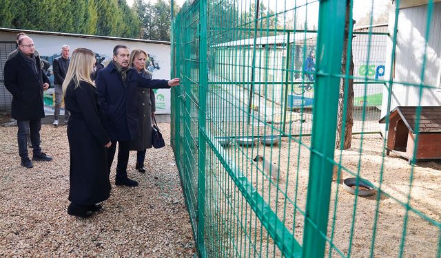 Başkan Ataç Doğal Yaşam Merkezi’nde İncelemelerde Bulundu