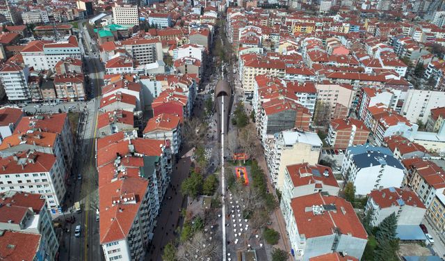 Hamamyolu Caddesi’nde ağaç budama çalışması başlıyor