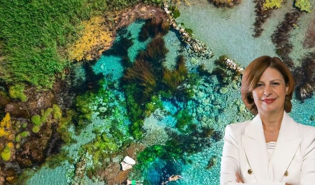 Tek sorumlu olarak belediye gösterilemez