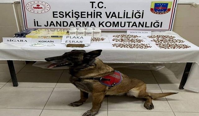 Belçika'dan gelen uyuşturucuyu Afyonkarahisar'a götüren zehir tacirleri Eskişehir'de yakalandı