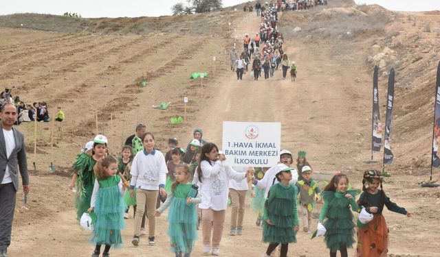 Orman Haftası Hazırlıkları Tamamlandı