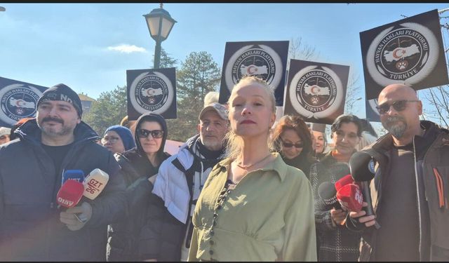 "Sokak Hayvanları Birilerinin 'Robot Depoları' Değildir!"