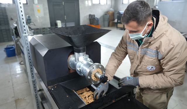 Atık yemekler can dostlarımıza mama oluyor