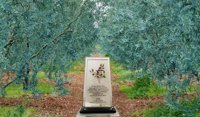 Dorlion zeytinyağı kalitesini ödüllerle tescilledi