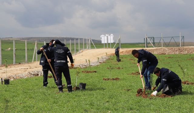 Fidanlar Kent Korusu’nda Hayat Buluyor