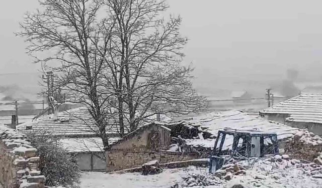 Eskişehir'in kırsalı mayıs ayında beyaza büründü