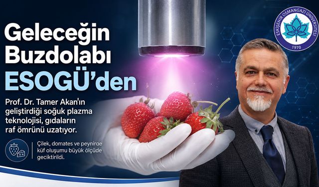 Eskişehirli profesörden devrim gibi buluş