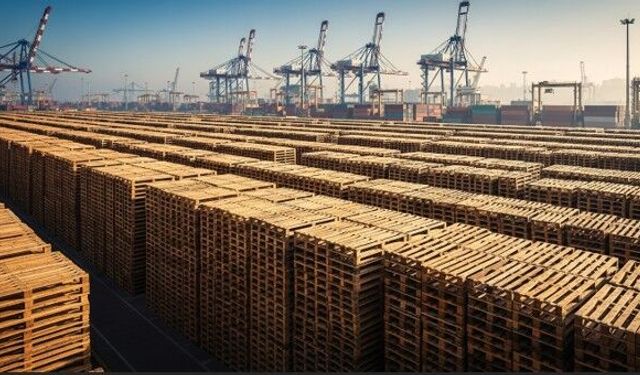 Türkiye Sanayisinde Ahşap Paletlerin Stratejik Önemi ve Lojistik Gücü