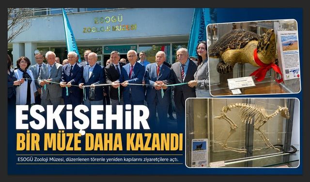 34 bin hayvanın sergilendiği Zooloji Müzesi açıldı