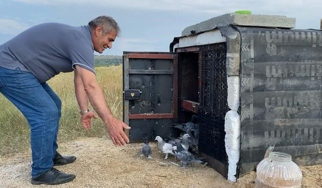 43 yıldır süren güvercin tutkusu