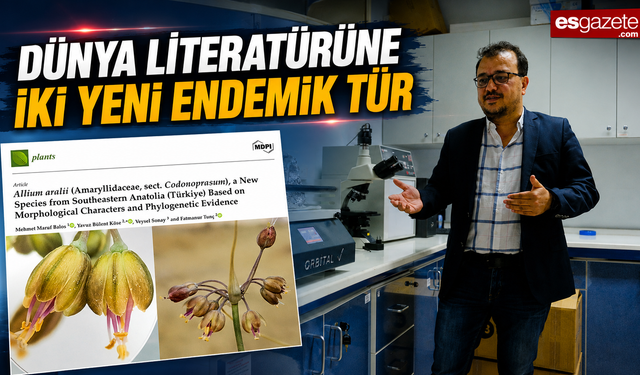Anadolu’dan bilime iki yeni tür