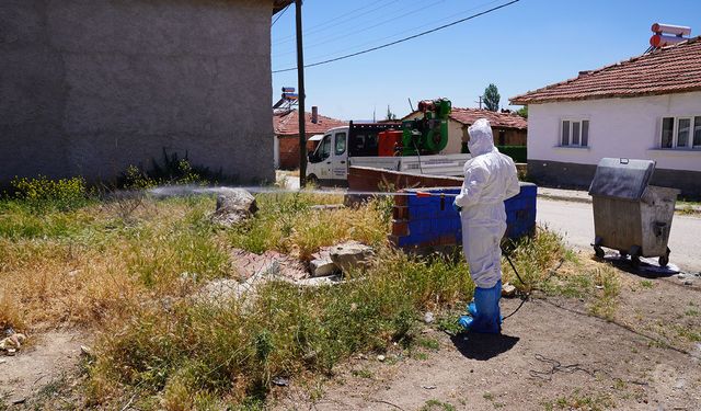 Kırsal mahallelerde de ilaçlama çalışmaları sürüyor