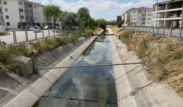 Sulama kanalı için muhtardan "yeşil alan" talebi