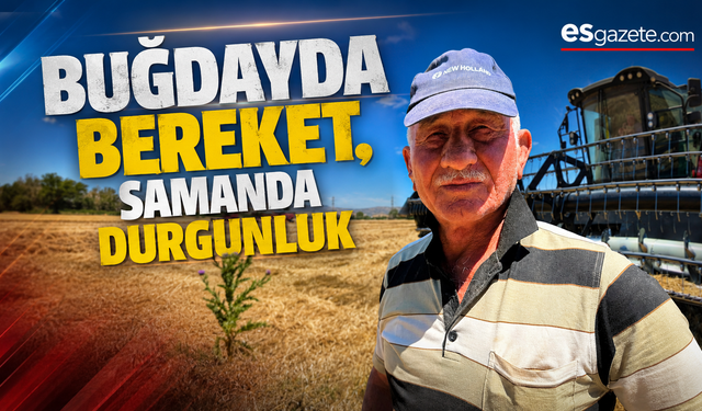 Buğdayda Bereket, Samanda Durgunluk