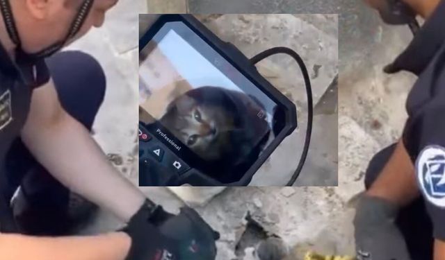 Gider borusundaki kediyi kurtarma operasyonu