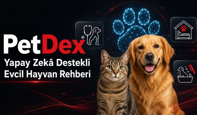PetDex, Yapay Zekâ Destekli Evcil Hayvan Bilgi ve Hizmet Rehberini Büyütüyor