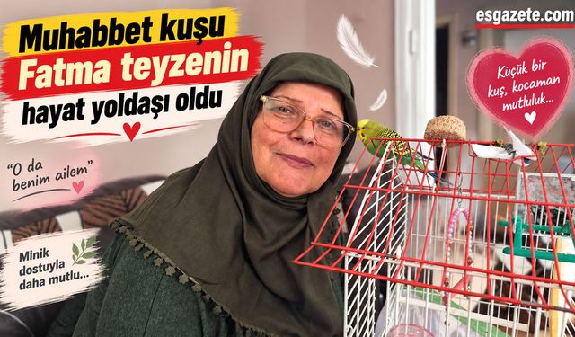 Muhabbet kuşu Fatma teyzenin hayat yoldaşı oldu
