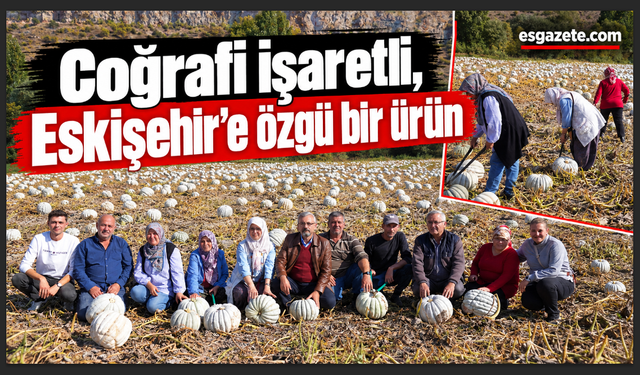 Kızılinler’de balkabağı hasadı yapıldı