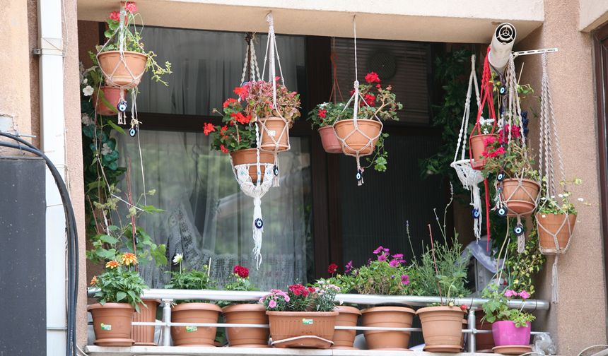 Eskişehir’in balkonları çiçek açtı