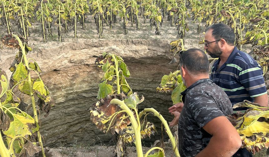 Eskişehir'de dev bir obruk oluştu