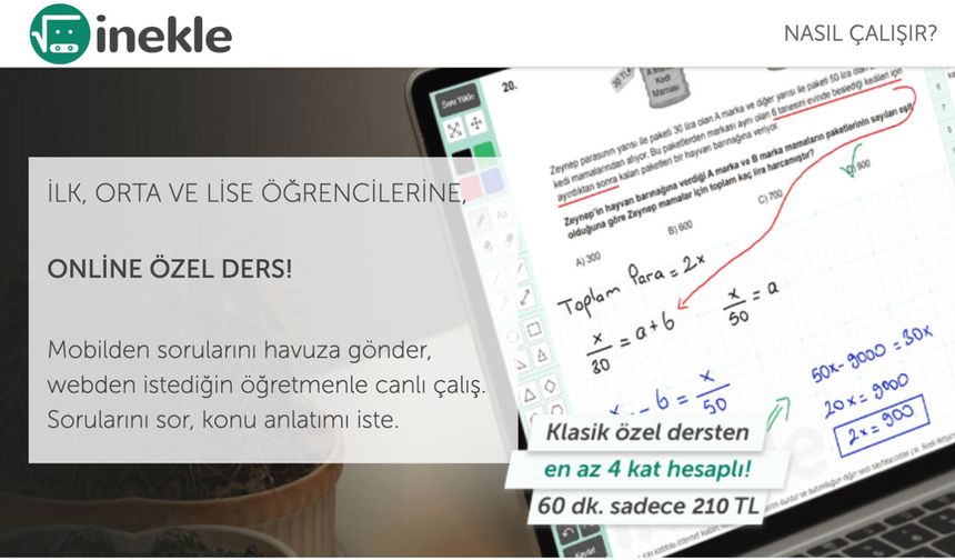 Online Özel Ders: İnekle ile Bireysel Öğrenmenin Gücü