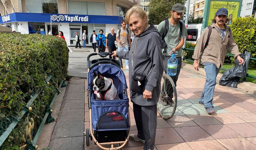 Köpeğini bebek gibi dolaştırıyor