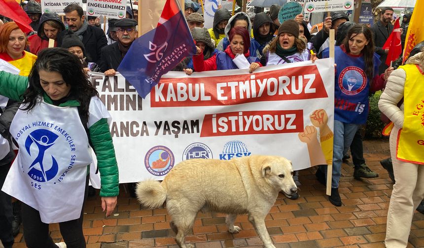 Eskişehir'in köpekleri de eylemlerde