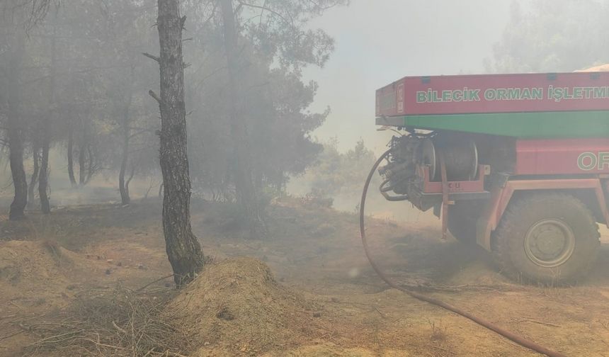 Bilecik’te buğday tarlasında çıkan yangın ormanlık alana sıçradı