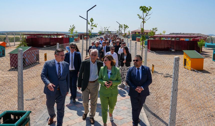 Can dostlar için doğal yaşam alanı açıldı