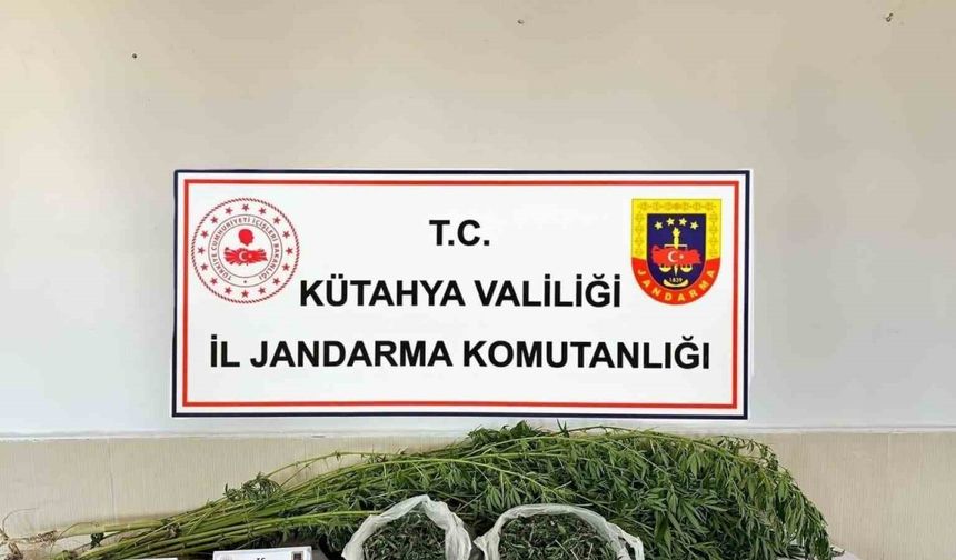 Kütahya’da uyuşturucu operasyonu