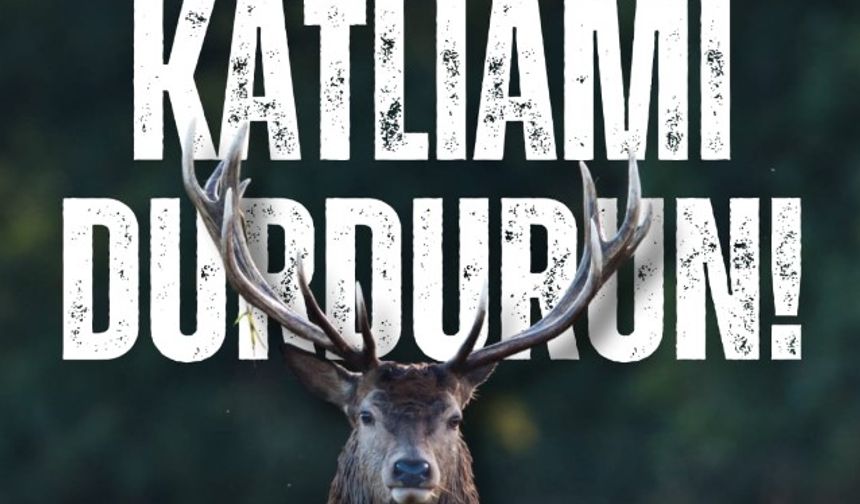 Eskişehir ve Kütahya'daki av ihalesine tepki