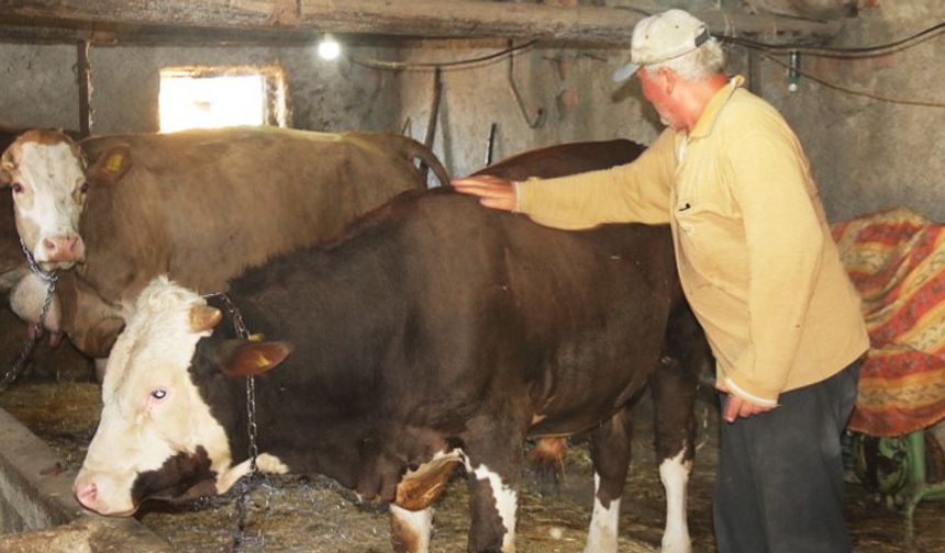 Elektrik mühendisiydi, huzuru köyde buldu