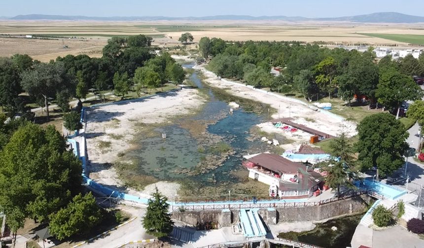 Sakaryabaşı yok olma tehlikesi altında